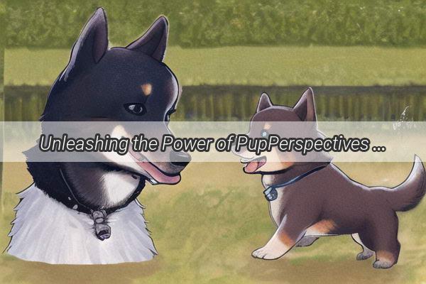 Unleashing the Power of PupPerspectives How Dog Expressions Amplify Adorable Moments